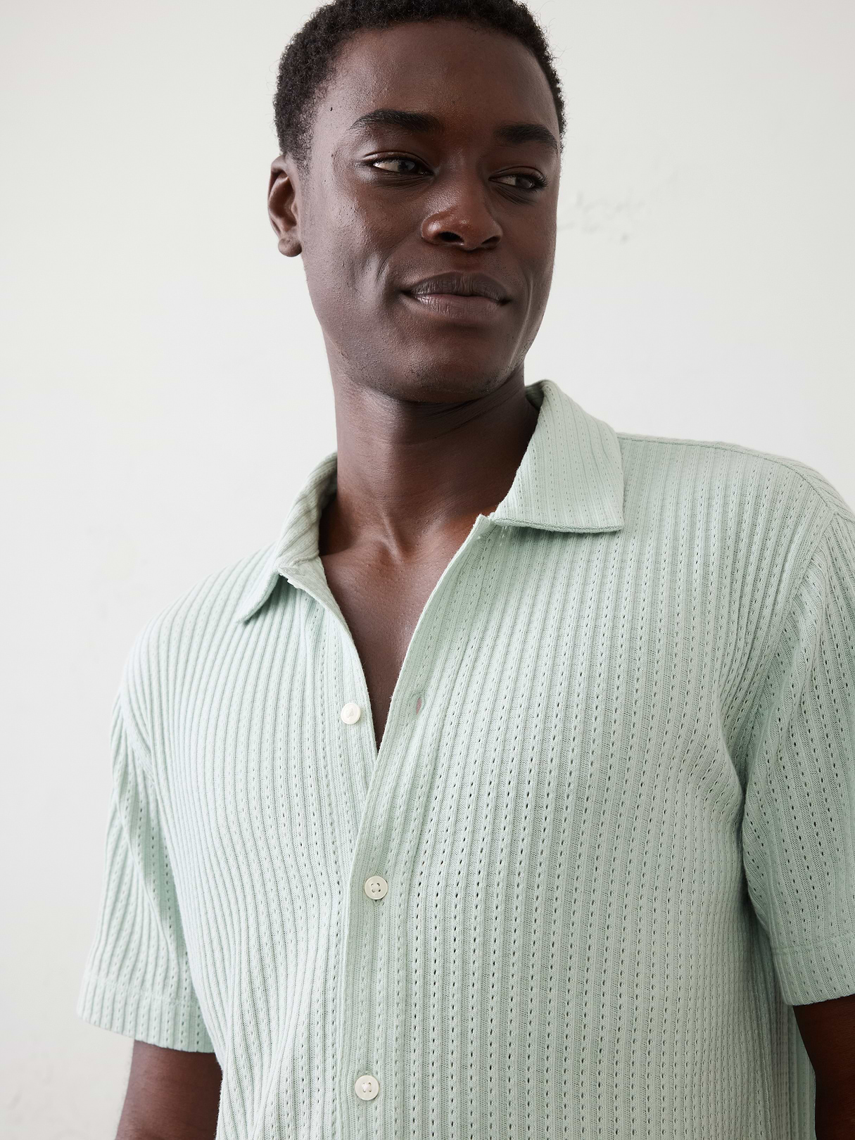 standard fit pointelle button down polo standard fit pointelle button down polo