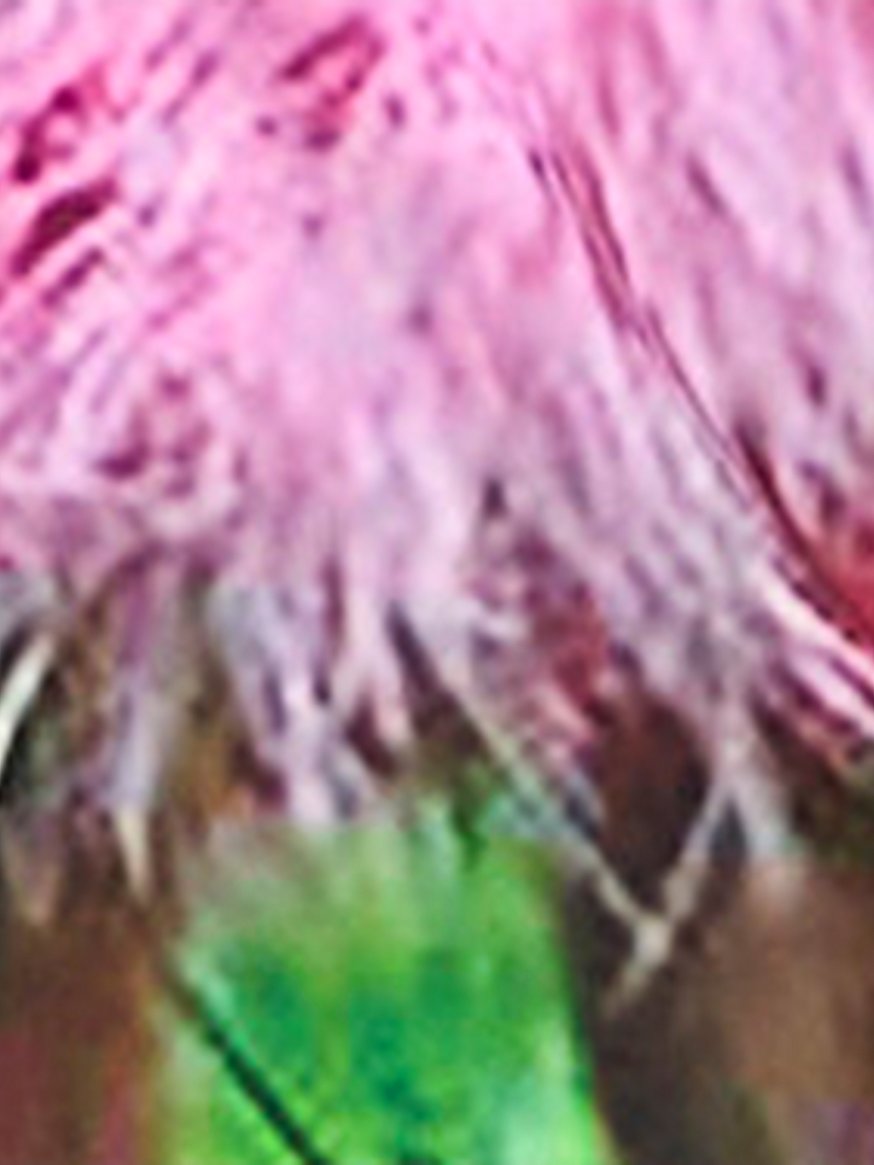 pink | elle baby tee pink | elle baby tee