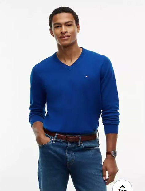 essential v neck sweater