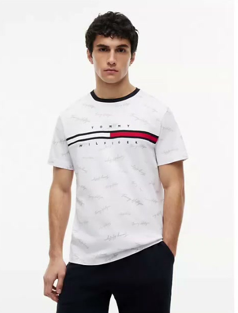 signature flag stripe logo t shirt