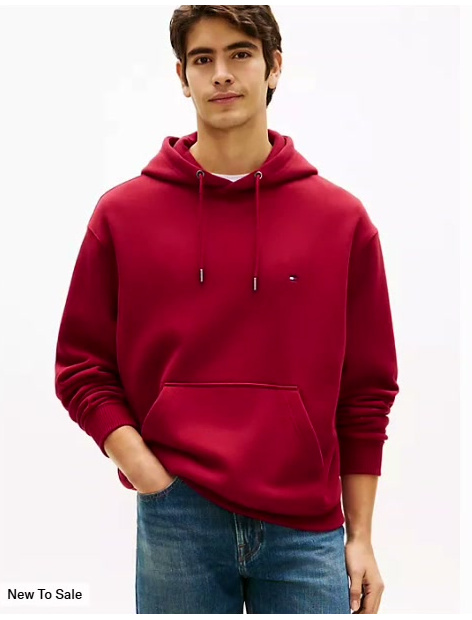 back flag logo pullover hoodie