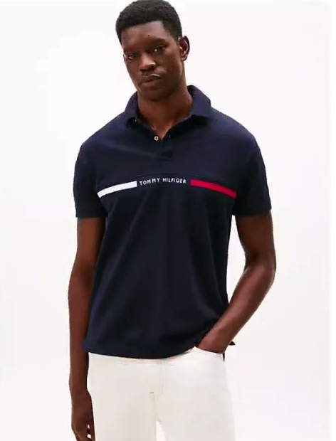 regular fit embroidered stripe polo