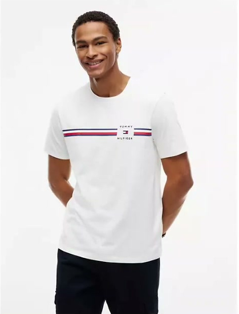 signature stripe t shirt