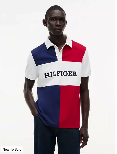 regular fit colorblock polo