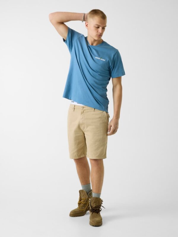 chino shorts