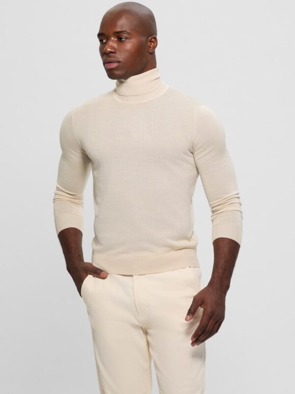 fred wool turtleneck sweater