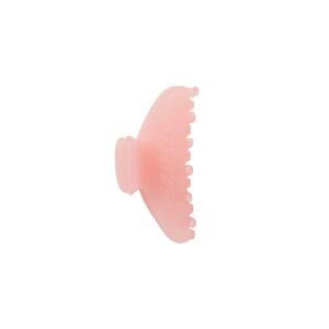 Home getting ready accessories embossed logo mini claw clip