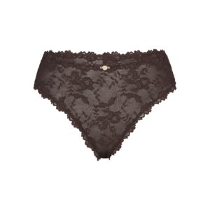 stretch lace brief