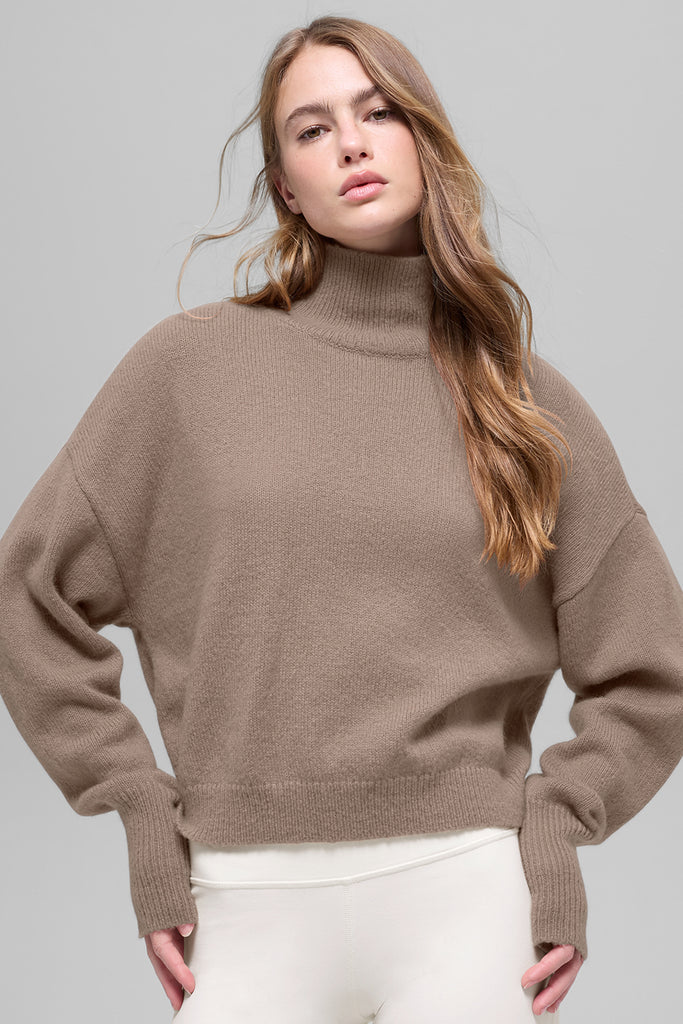 Шерстяной кашемир обрезал свитер turtleneck нового класса Шерстяной кашемир обрезал свитер turtleneck нового класса