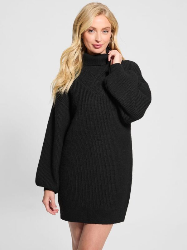 eco katie turtleneck sweater dress