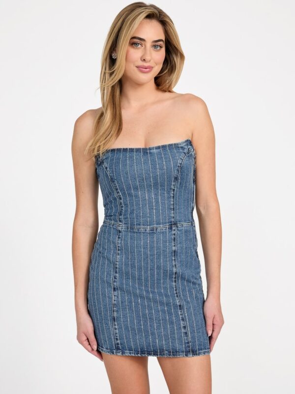 haylie denim dress