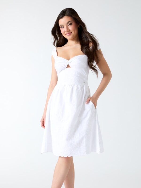 embroidered mini dress