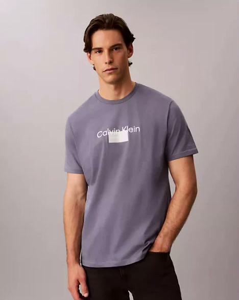 box logo crewneck tee