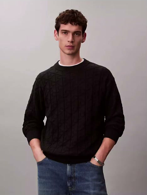 allover emblem logo ribbed sweater