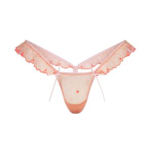 Home embroidered tulle butterfly thong