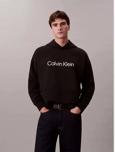 standard logo terry hoodie