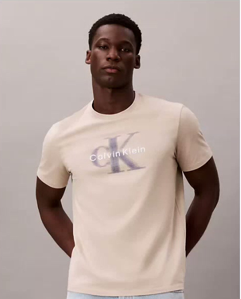 motion blur monologo tee