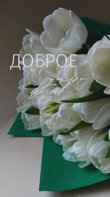 file 3639