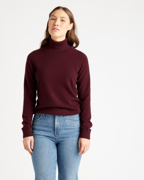 mongolian spring cashmere turtleneck sweater