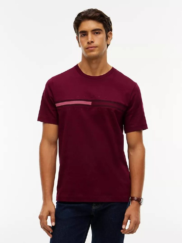TOMMY HILFIGER file 10133